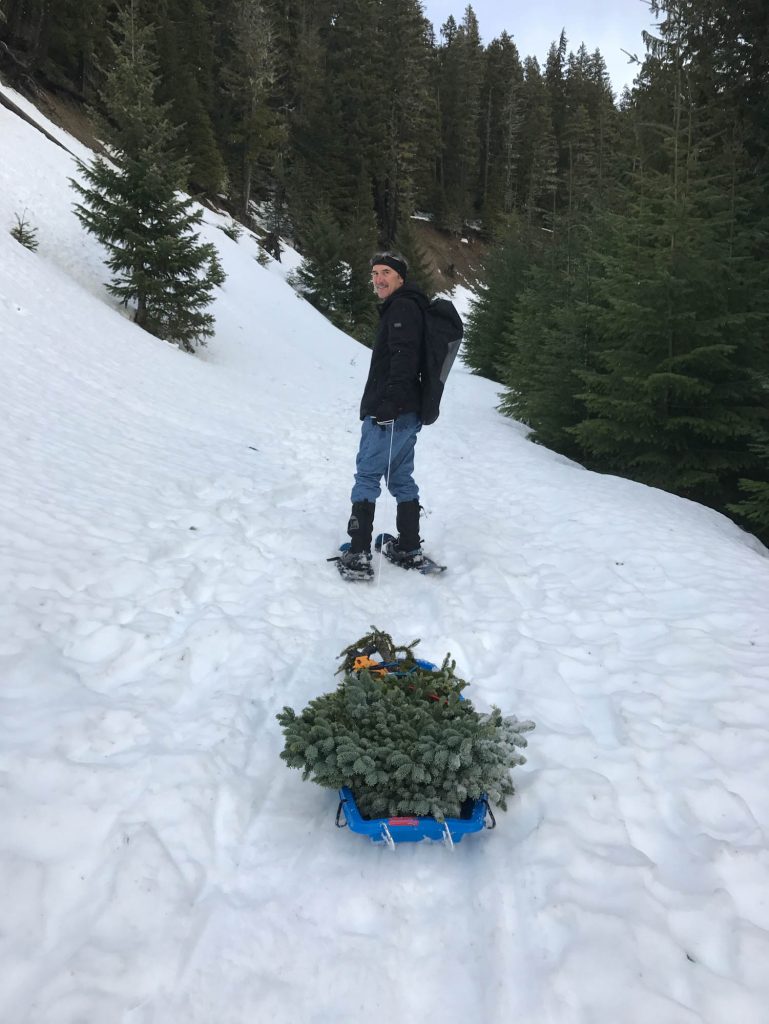 Mike Davison harvesting Abies procera 'Rhapsody in Blue' broom at White Pass WA in the Cascade mountain range