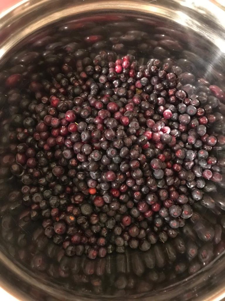 Nice bowl of huckleberries, future huckleberry pie!