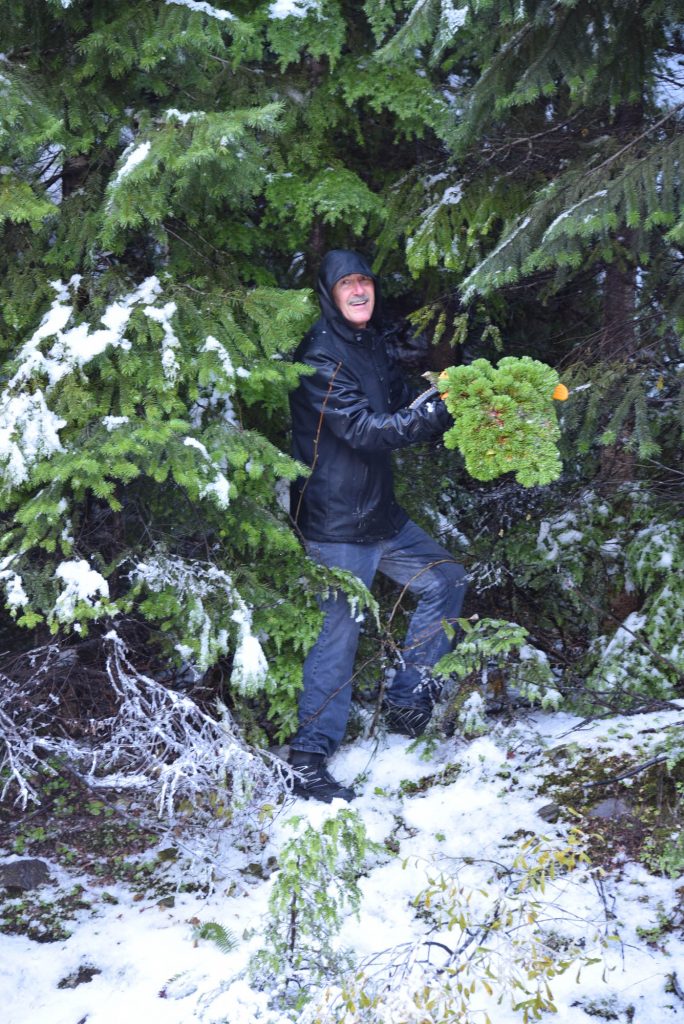 Mike  with his freshly harvested new Pacific fir broom, 'Galaxy'!