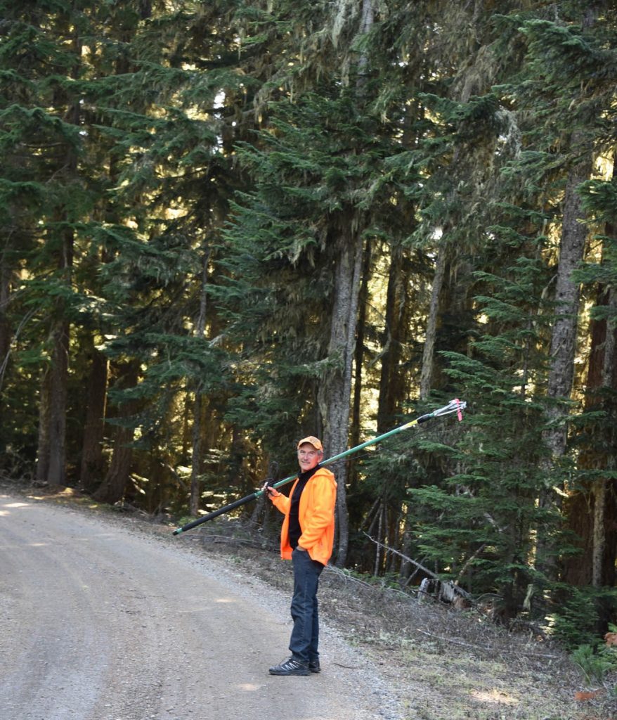 Mike with his pole saw, open season for harvesting conifer brooms.