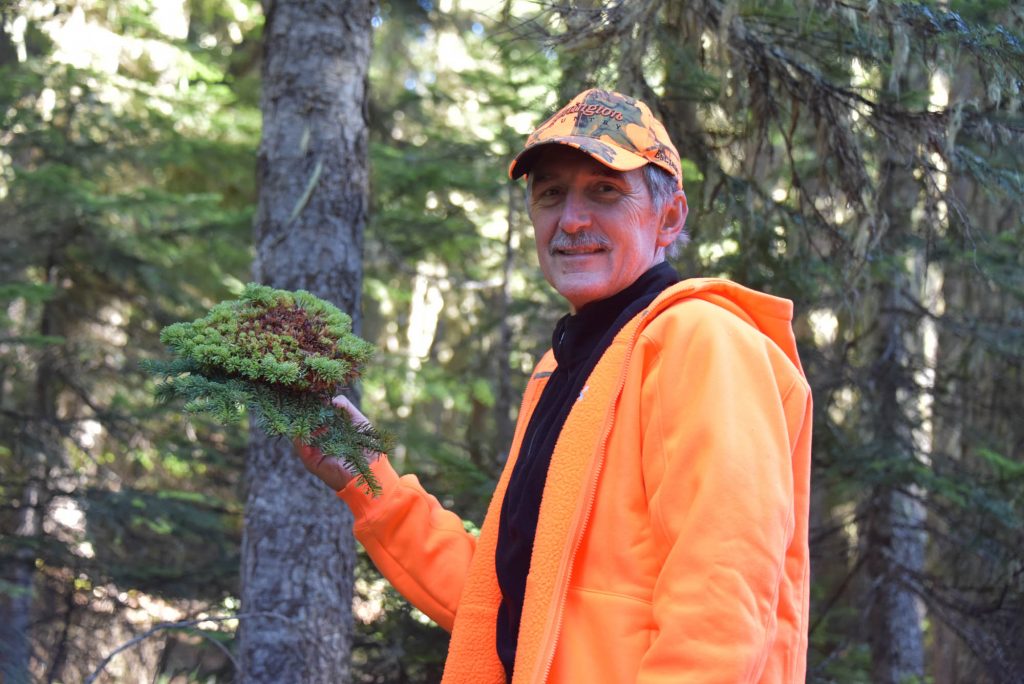 Mike showing off his new Pacific Silver fir broom, 'Little Star'
